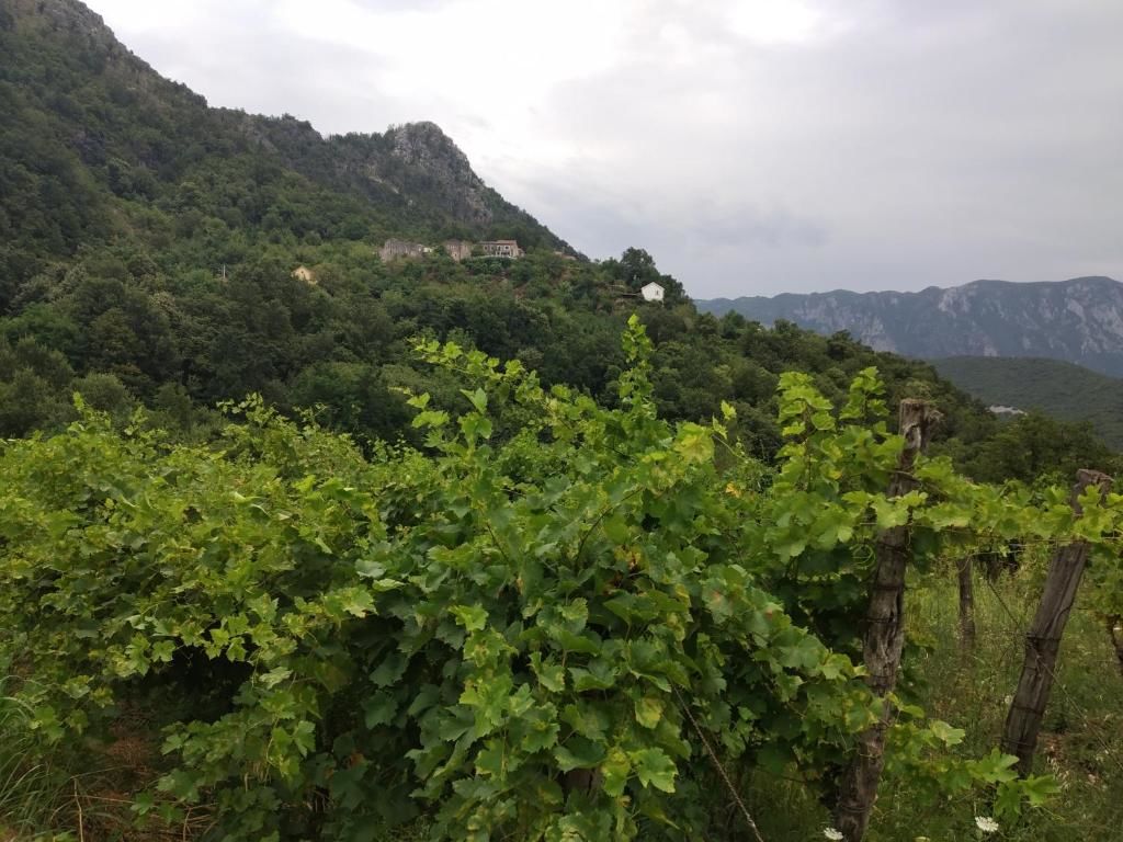 Апартаменты Take a Lake - Zabes, Virpazar Вирпазар-30