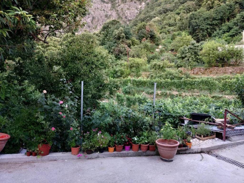 Апартаменты Take a Lake - Zabes, Virpazar Вирпазар-32