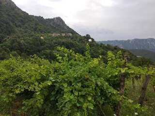 Апартаменты Take a Lake - Zabes, Virpazar Вирпазар Апартаменты с 1 спальней-27