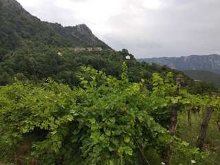 Апартаменты Take a Lake - Zabes, Virpazar Вирпазар Апартаменты с 1 спальней-4