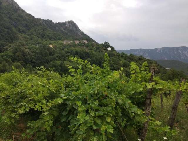 Апартаменты Take a Lake - Zabes, Virpazar Вирпазар-29